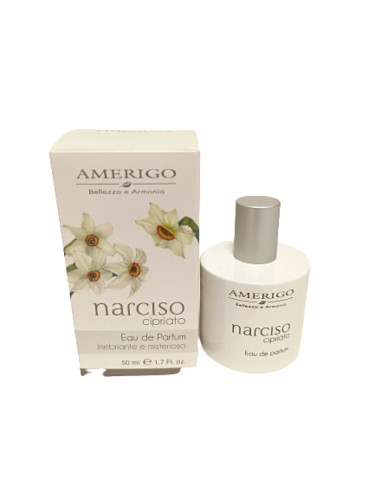 Amerigo narcis cipriato - amerigo,